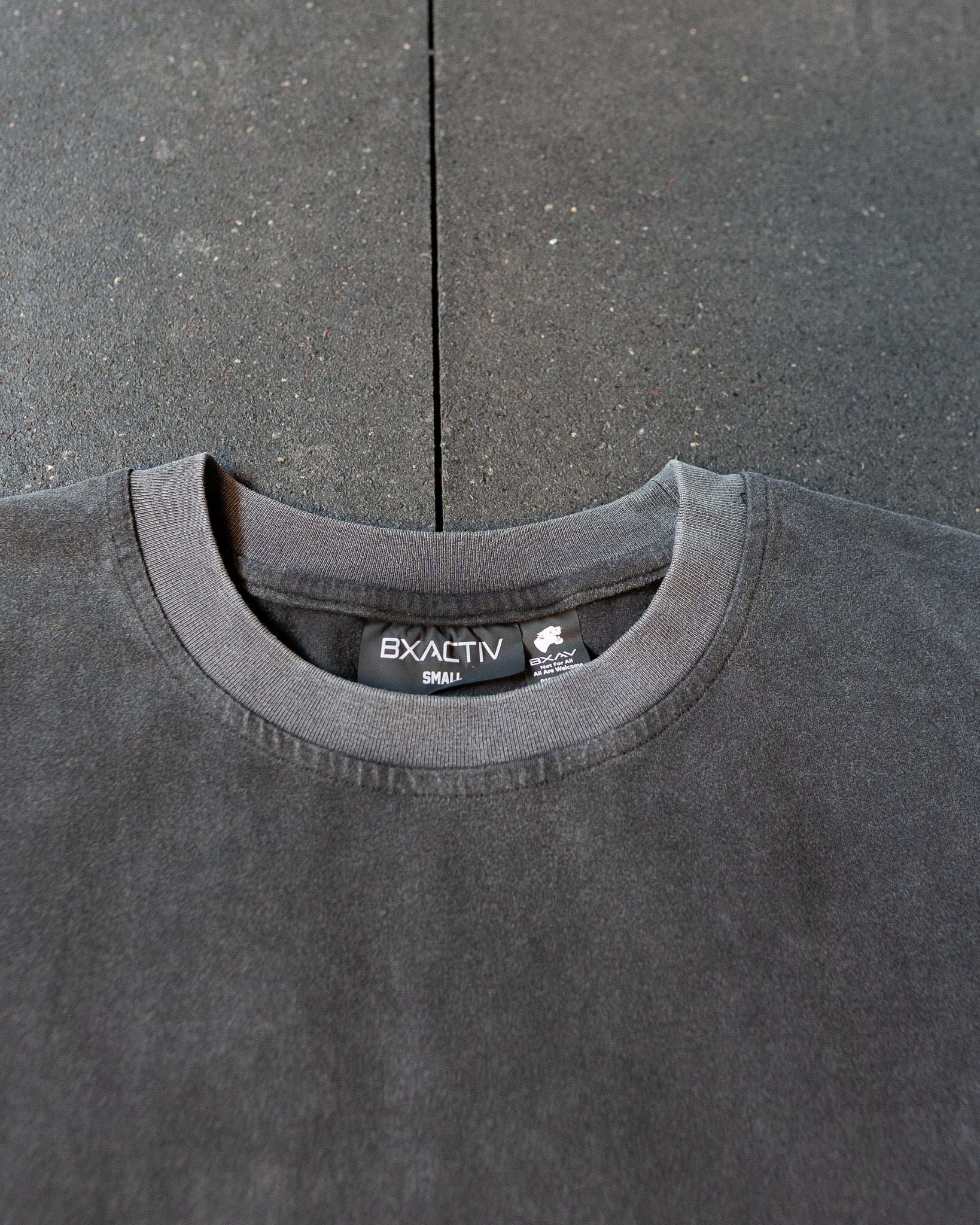 Big Panther Logo Oversize T-Shirt (Vintage Gray)