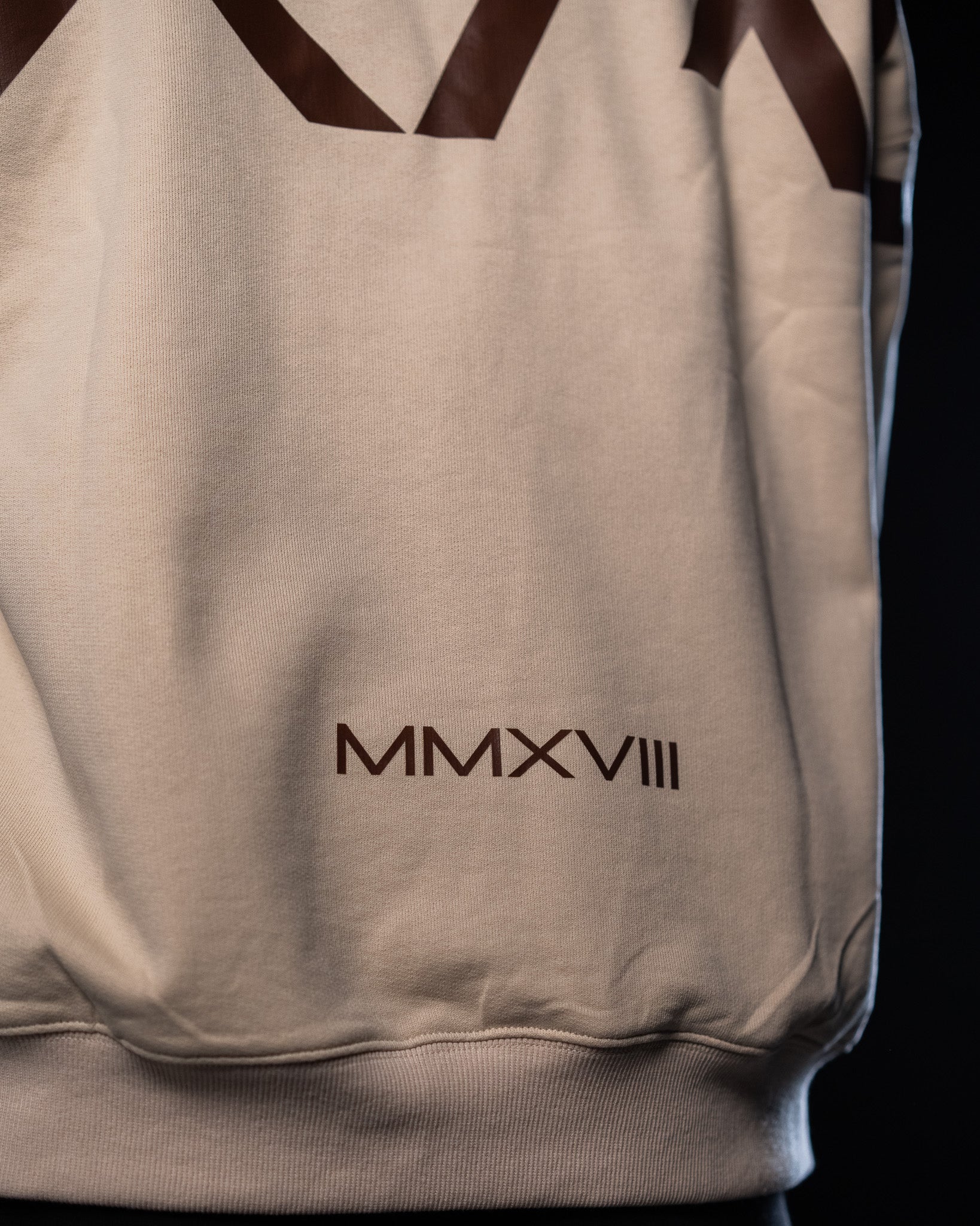 Heavyweight Oversize Crewneck BXAV Logo (PRE-SALE PRICE)