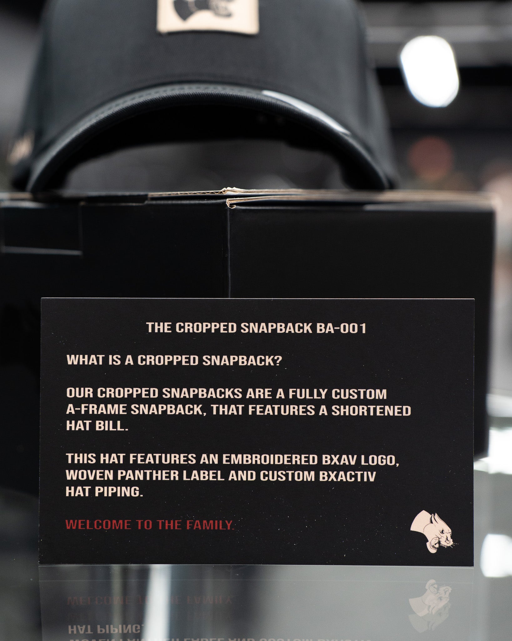 Capped Snapback - Panther Logo BA001